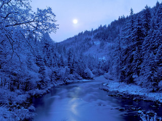 River snow trees moon winter - a river free wallpaper