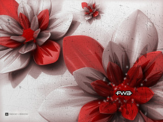 Red white flower black white 2 - bernard fleetwoodwalker free wallpaper