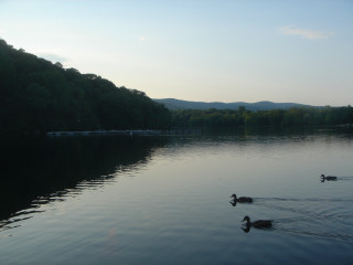Ducks swimming lake forest mountains 5 - the background and a boat free wallpaper