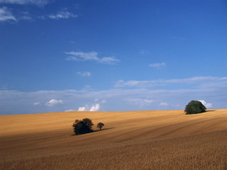 Field trees sky clouds mountains - landscape free wallpaper for desktop