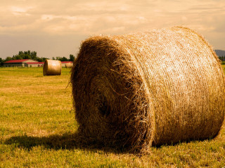 Hay bale field barn cloudy 4 - a barn in the background free wallpaper