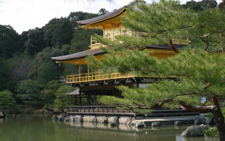 Yellow roof building tree water 2 - eizō katō free wallpaper