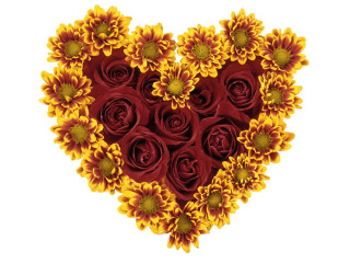 Heart sunflowers roses red yellow - constance copeman free wallpaper
