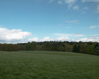 Field trees blue sky clouds 3 - ultra wide angle free wallpaper