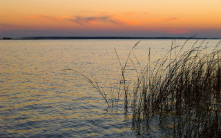 Water plants sunset clouds sky - charles ragland bunnell free wallpaper