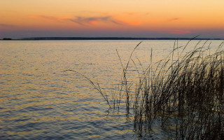Water plants sunset clouds sky 4 - charles ragland bunnell free wallpaper
