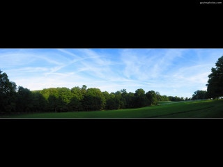 Field trees blue sky clouds 5 - benoit b. mandelbrot free wallpaper
