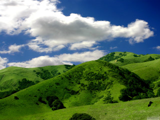 Green mountain clouds cows grazing 2 - a green mountain free wallpaper