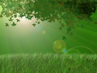 Green field sunshine trees grass - grass free wallpaper for desktop