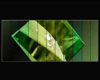 Green leaf water drops black - drop of water free wallpaper