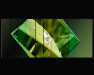 Green leaf water drops black 3 - a green arrow free wallpaper