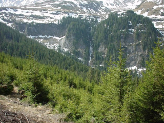 Snowy mountain trees trail distant - ecological free wallpaper for desktop