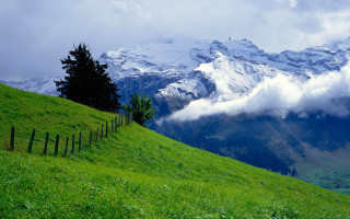 Mountain fence grassy field clouds 4 - a grassy field below free wallpaper