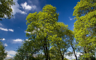 Park bench blue sky clouds - a bench in the foreground free wallpaper