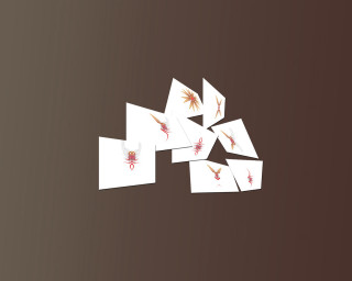 Cards table brown background red - a red dragon free wallpaper