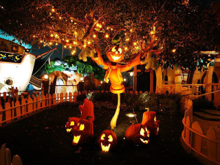 Halloween pumpkins costume pumpkin hat - disney free wallpaper