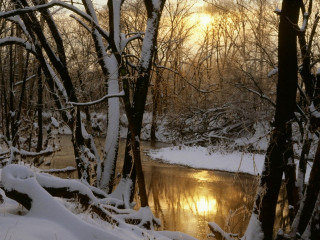 River snow trees forest sunset - a river free wallpaper