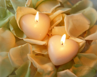Candles bowl flowers petals tabletop 3 - petal free wallpaper