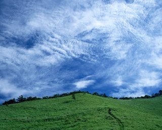 Green hill tree cloudy sky 3 - a green hill free wallpaper