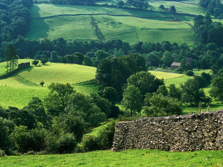 Green field stone wall trees 4 - a green hillside free wallpaper