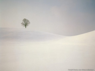 Lone tree snowy landscape blue 2 - a minimalist painting free wallpaper