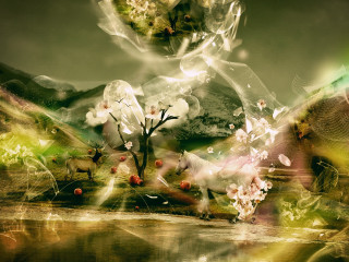 Tree flowers field mountains lake 2 - the background and a lake in the foreground free wallpaper