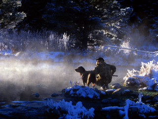 Man dog snow pond misty 3 - misty free wallpaper