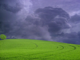 Green field tree storm cloud - derek hill free wallpaper