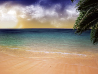 Beach palm tree blue ocean 5 - a blue ocean free wallpaper