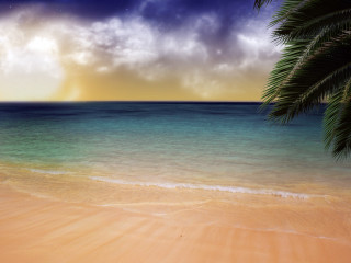 Beach palm tree blue ocean 6 - a blue ocean free wallpaper for desktop