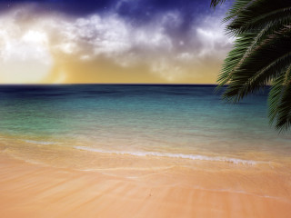 Beach palm tree blue ocean 9 - a blue ocean free wallpaper for desktop