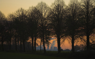 Trees sunset building smoke distance 2 - a group of trees free wallpaper