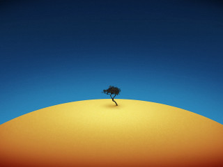 Lone tree hill blue sky 3 - global free wallpaper
