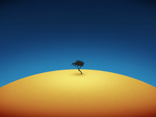 Lone tree hill blue sky - a lone tree free wallpaper