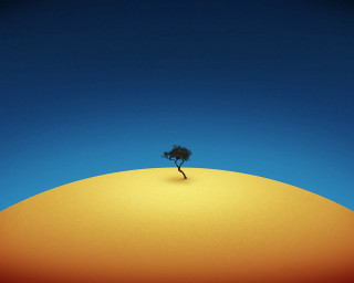 Lone tree hill blue sky 4 - global free wallpaper