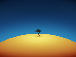 Lone tree hill blue sky 2 - a lone tree free wallpaper