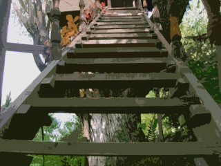 Group walking stairs woods trees - the background and a person free wallpaper