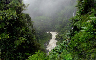 River jungle waterfall fog nature 4 - the air above free wallpaper for desktop