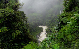 River jungle waterfall fog nature 2 - the air above free wallpaper for desktop