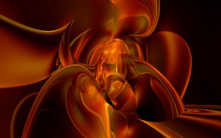 Orange yellow flower black background 2 - image of a flower free wallpaper