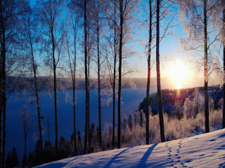 Snow hill trees sunset skier 2 - ski free wallpaper