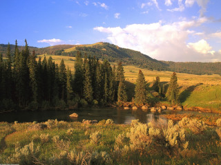 River field trees mountain clouds 3 - tree and a mountain in the background free wallpaper