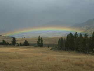 Rainbow field grass trees foreground - a rainbow free wallpaper for desktop