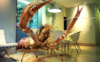 Large lobster standing room chairs - its leg free wallpaper