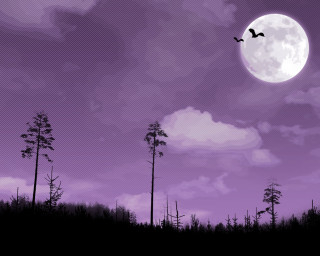 Purple moon bats forest bamboo - tall tree free wallpaper
