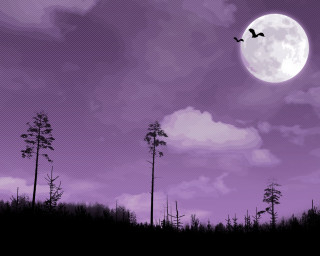 Purple moon birds forest gothic - tall tree free wallpaper