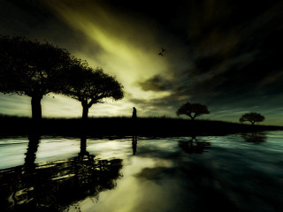 Dark landscape trees water night - tree and a body of water free wallpaper