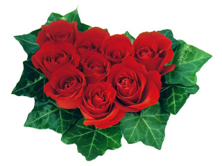 Red roses bouquet green leaves - red rose free wallpaper