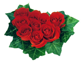 Red roses bouquet green leaves 4 - red rose free wallpaper