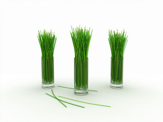 Three vases grass white surface - a green stem free wallpaper for desktop